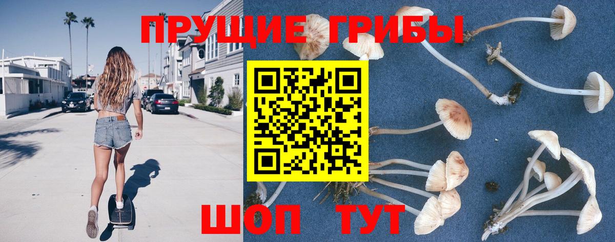 Абинск  Галлюциногенные грибы GOLDEN TEACHER  Галлюциногенные грибы мицелий  Вход с VPN 
