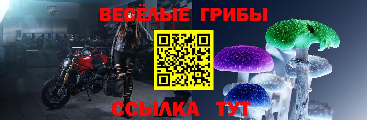 Псилоцибиновые грибы ЛСД Абинск